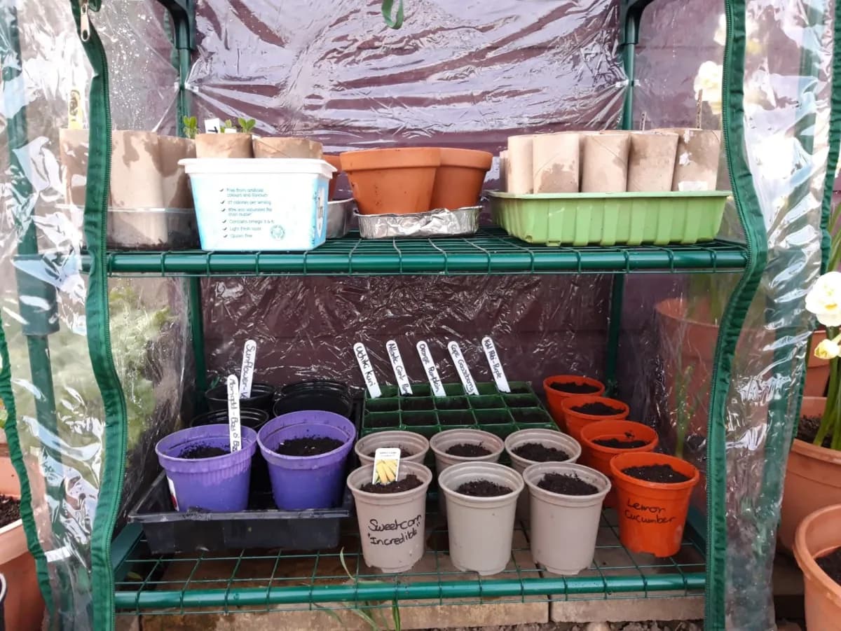 Five Things You Should Do In May