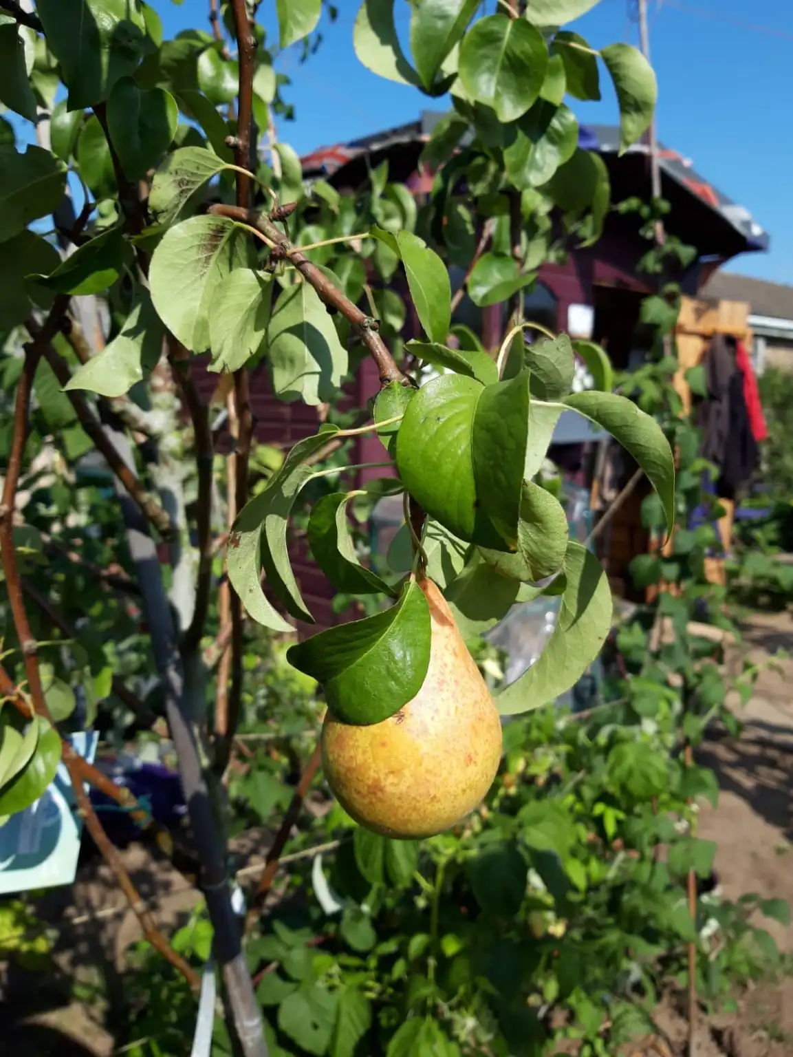 Five Things You Should Do In October