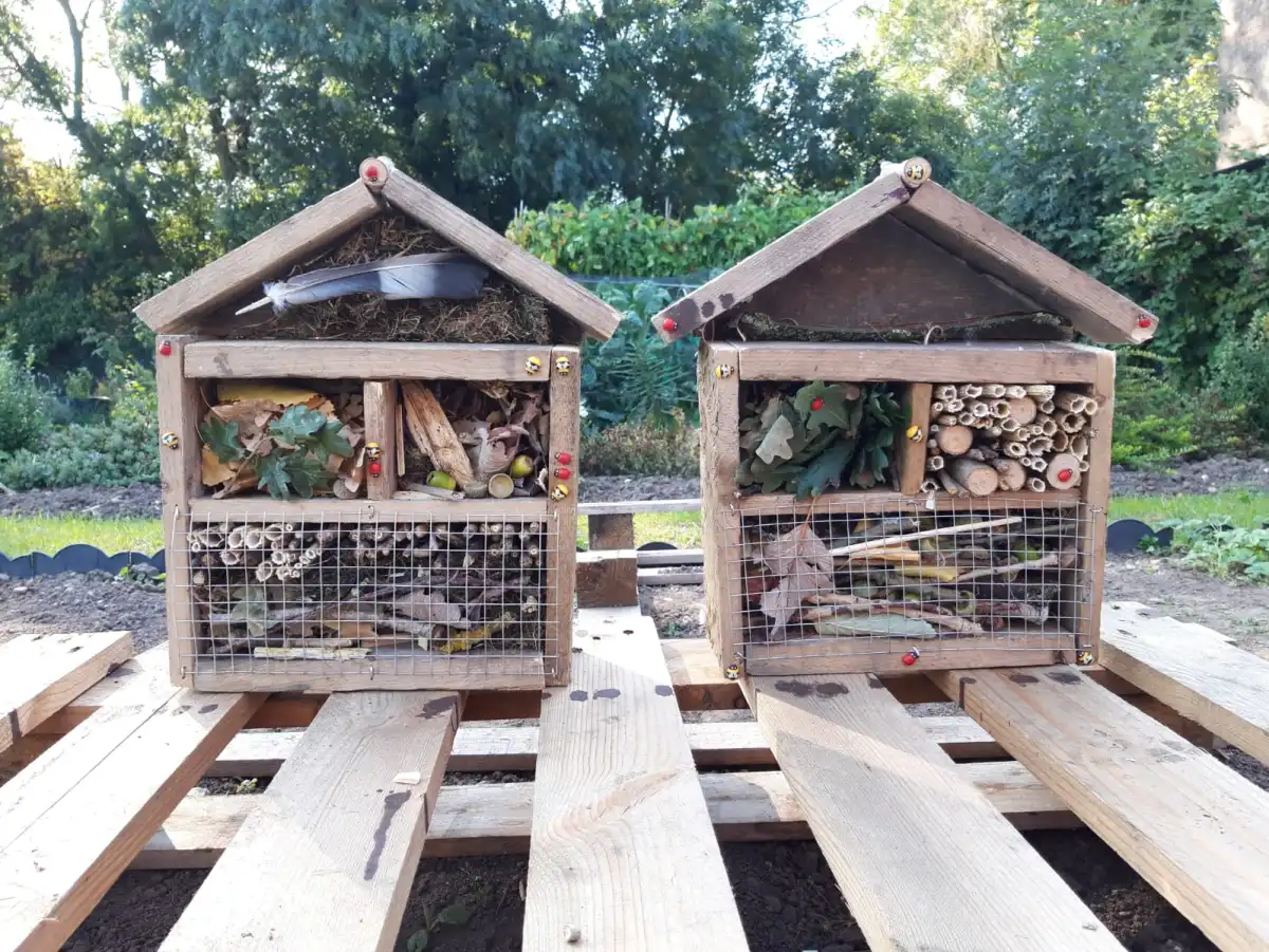 Five Things You Should Do In Winter