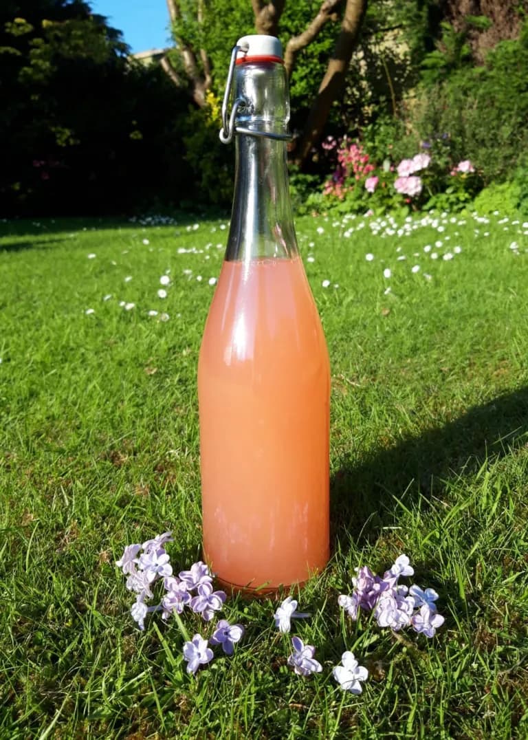 Lilac, Lemon & Raspberry Champagne